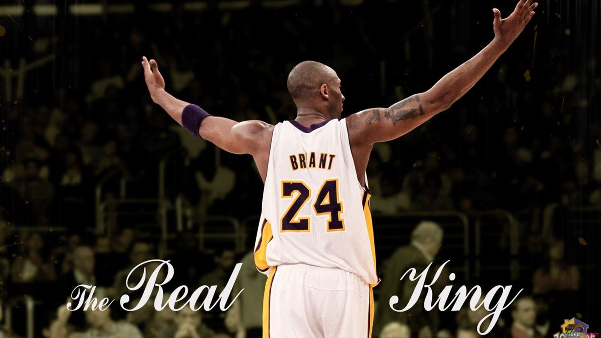 福建豹发力球队防守配合日趋默契，福建豹发力篮球队